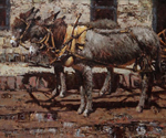 Santa Fe Burros